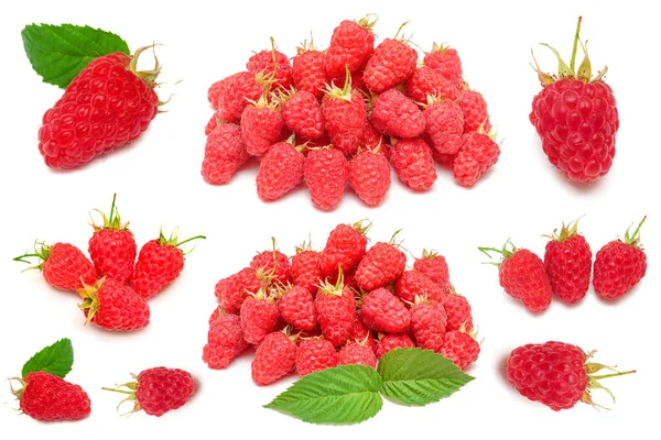 Raspberries collection isolated on white background. Fruit red c — Stock Photo, Image