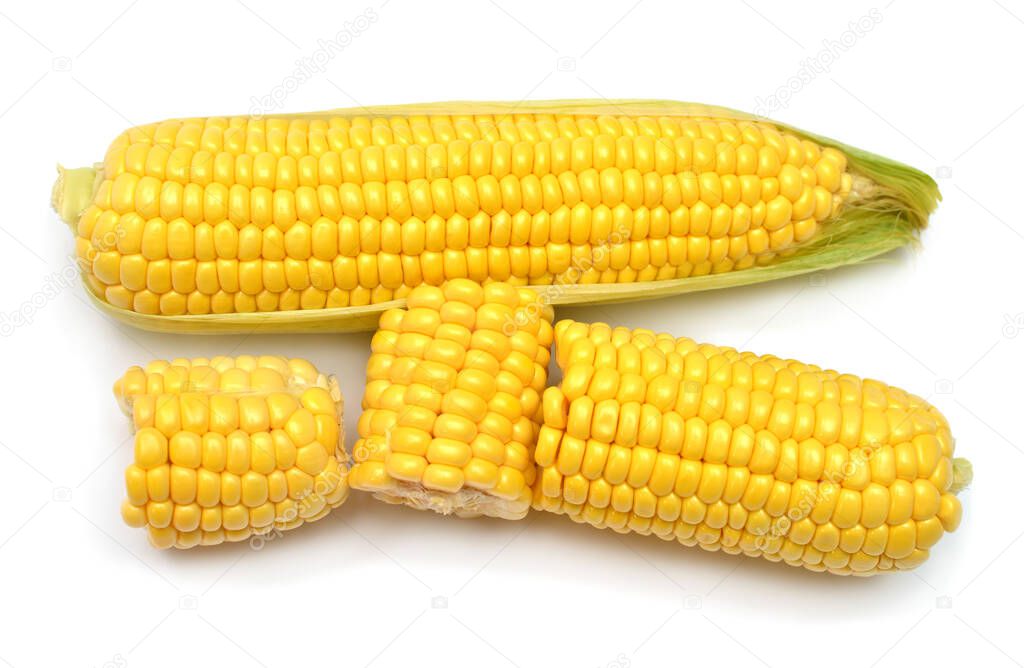 Corn isolated on white background. Top view, flat lay