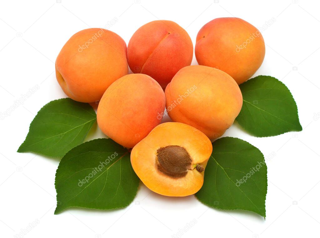 Apricot fruit with leaf isolated on white background. Flat lay, 