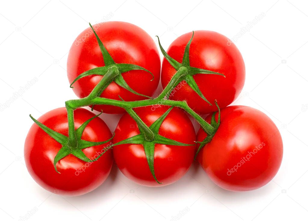 Fresh tomatoes branch isolated on white background with clipping