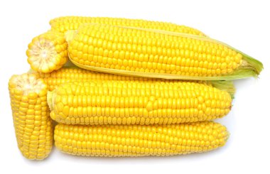 Beyaz arka planda izole mısır. Mükemmel rötuş, tam dep