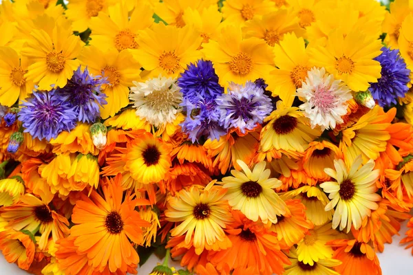 Ramo de flores hermosas de caléndula, koreopsis y aciano — Foto de Stock