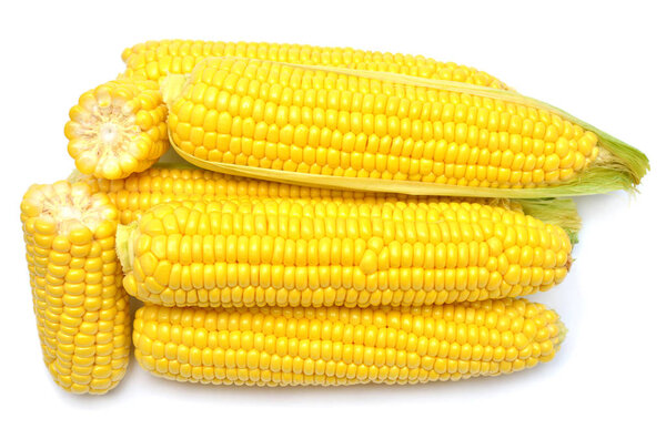 Кукуруза изолирована на белом фоне. Perfect retouched, full dep
