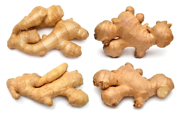 Collection Fresh Ginger Root Whole Isolated White Background Creative Medical — Stock Photo, Image