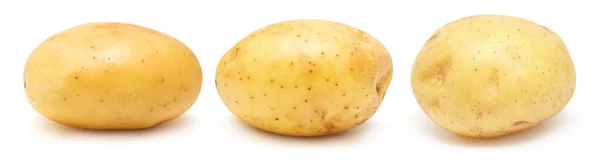 Collectie Jonge Aardappel Geheel Geïsoleerd Witte Achtergrond Oogst Nieuw Vlakke — Stockfoto