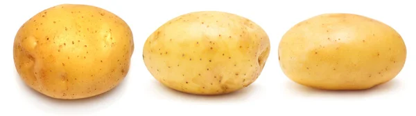 Collectie Jonge Aardappel Geheel Geïsoleerd Witte Achtergrond Oogst Nieuw Vlakke — Stockfoto