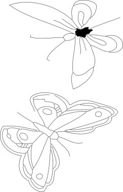 Beyaz arka planda iki kelebeğin birleşimi