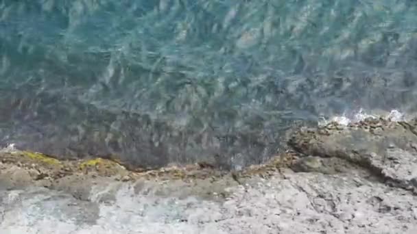 ニューワールド クリミアの黒海沿岸のリゾートタウン ウクライナでの休暇 — ストック動画
