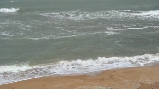 Storm Sea Coast Sea Azov Stormy Weather Waves Wind Spray — Stock Video