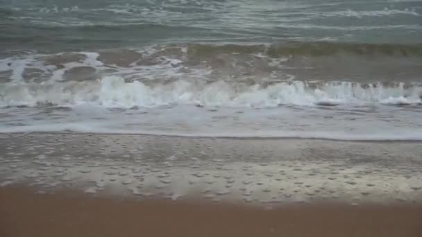 海で嵐 嵐の天気でアゾフ海の海岸 風と海のスプレー ロシア — ストック動画
