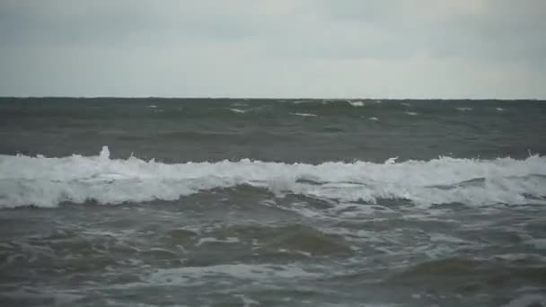 Denizde Fırtına Fırtınalı Havada Azov Denizi Kıyısında Dalgalar Rüzgar Deniz — Stok video