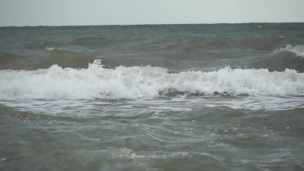 海で嵐 嵐の天気でアゾフ海の海岸 風と海のスプレー ロシア — ストック動画