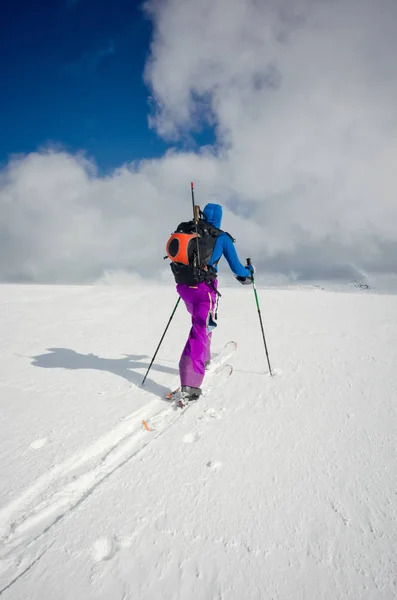 Ensam skidåkare promenader genom den orörda snön — Stockfoto
