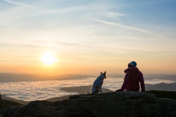 Mädchen und ihr Hund entspannen sich auf einem Gipfel — Stockfoto