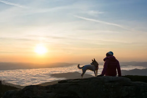 Mädchen und ihr Hund schauen sich etwas auf einem hohen Gipfel an. — Stockfoto