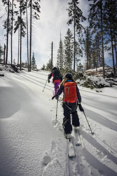 Twee skiërs oplopende door het fir bos — Stockfoto