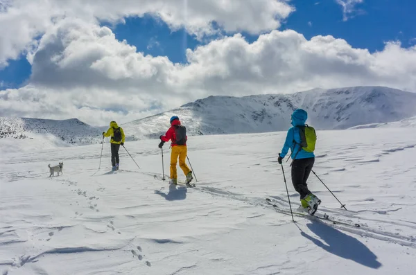 Drie skiërs en hun hond na hun weg Stockfoto