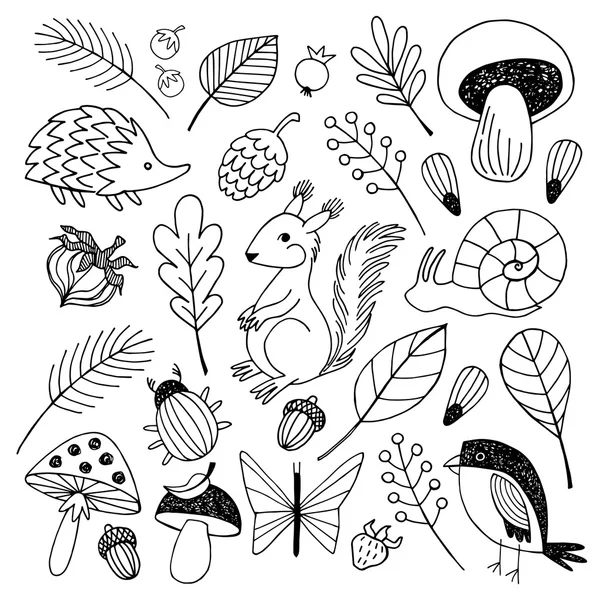 Bosque animales vector aislado sobre fondo blanco . — Vector de stock