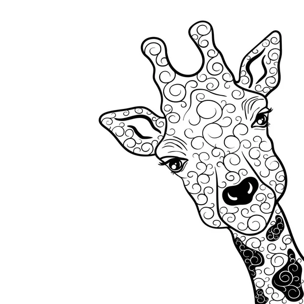 Illustration vectorielle de girafe — Image vectorielle