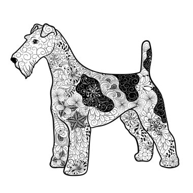 Fox terrier köpek 