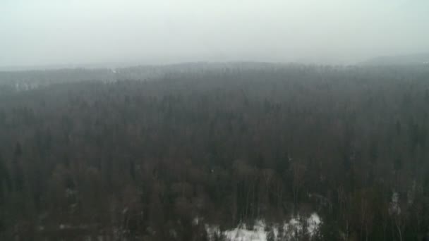 Vue par la fenêtre de l'hélicoptère dans la forêt d'automne — Video