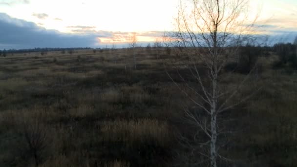 Landschaft in der Dämmerung Luftaufnahme. — Stockvideo