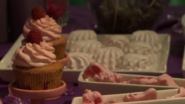 Mesa de postres de boda decorada en tonos lila — Vídeo de stock