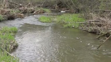 Creek yakınındaki severage sistemi.