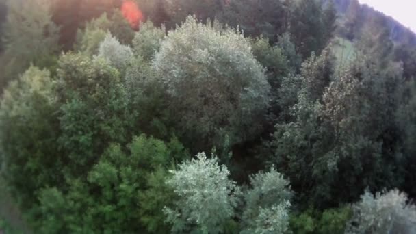 Bos landschap-luchtfoto. — Stockvideo