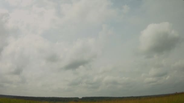 combattant militaire voler dans le ciel 
