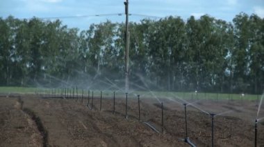 Çiftlikte sulama sistemi