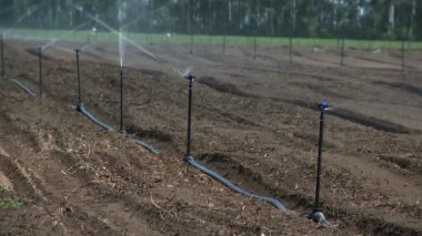 Çiftlikte sulama sistemi