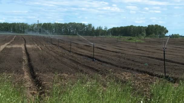 在农场的灌溉系统 — 图库视频影像