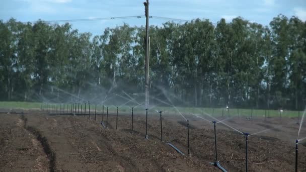 Bevattningssystem på gård — Stockvideo