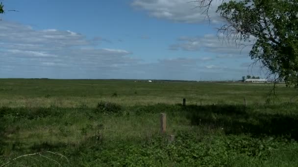 Zielona łąka obok gospodarstwa — Wideo stockowe