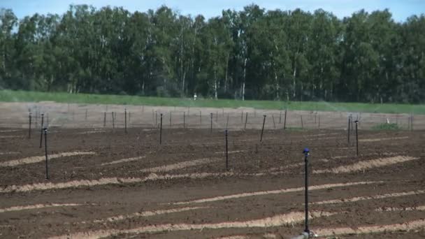 在农场的灌溉系统 — 图库视频影像