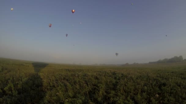 Weergave van het vliegen over veld in de vroege ochtend — Stockvideo