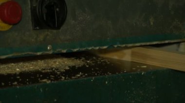 Ağaç işleme süreci yakın atış.