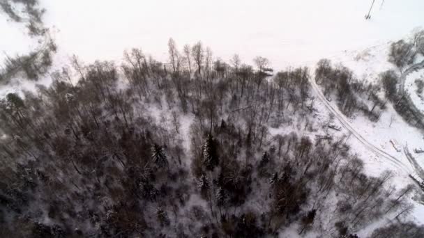 Vista superior del pueblo cubierto de nieve — Vídeo de stock