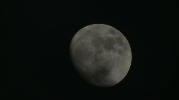 Blick auf den Vollmond mit Kratern — Stockvideo