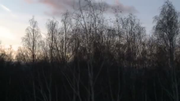 Paisaje al atardecer plano aéreo . — Vídeo de stock