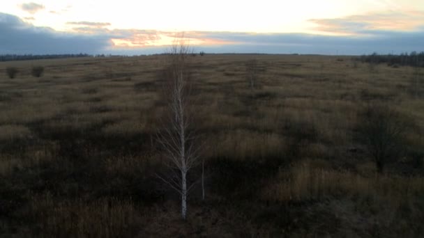 Paisaje al atardecer plano aéreo . — Vídeos de Stock