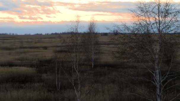 Landschap bij schemering luchtfoto shot. — Stockvideo