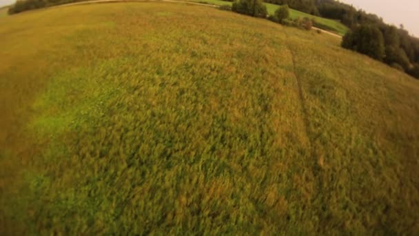Вид с воздуха на поле . — стоковое видео