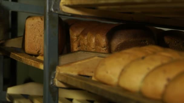 Bir atölyede şekilli ekmek. — Stok video