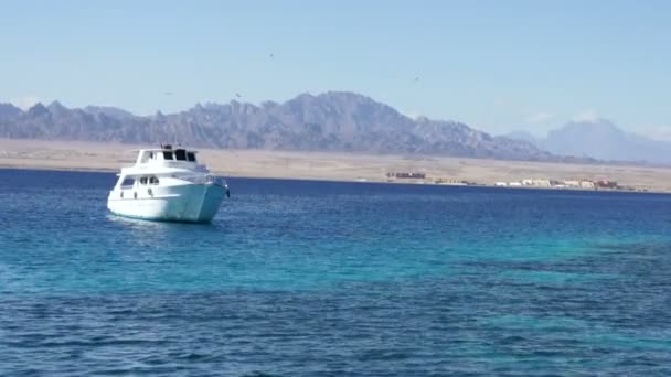 Яхта в Красном море в летнее время период — стоковое видео