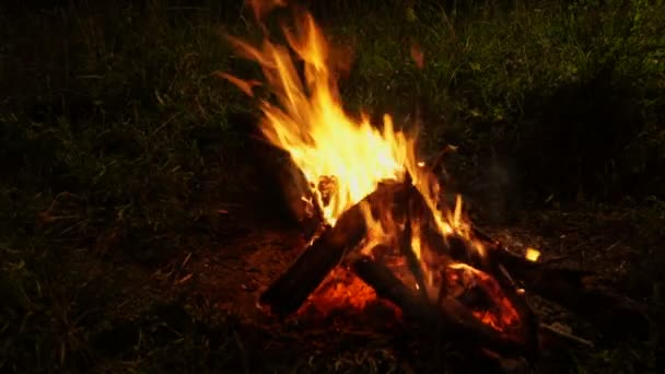 Campfire flame by night — Stock Video