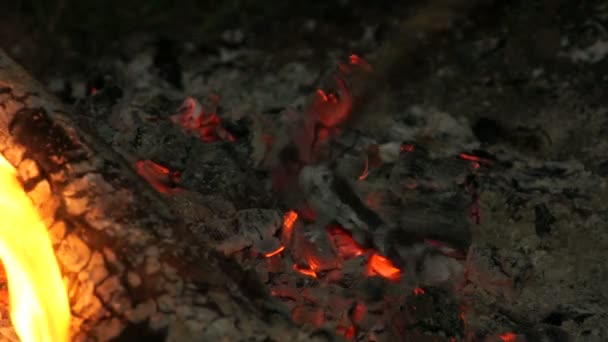 Patatas sobre carbones de madera — Vídeo de stock
