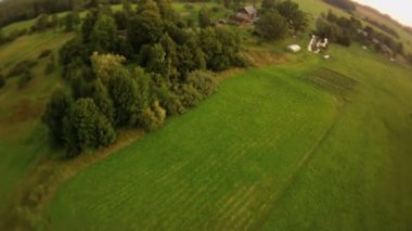 Orman manzara havadan görünümü