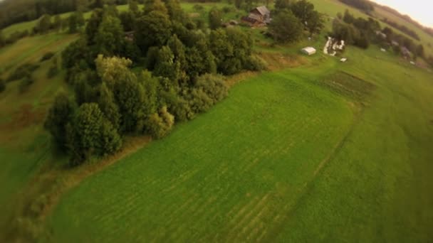 Paisaje forestal vista aérea — Vídeo de stock